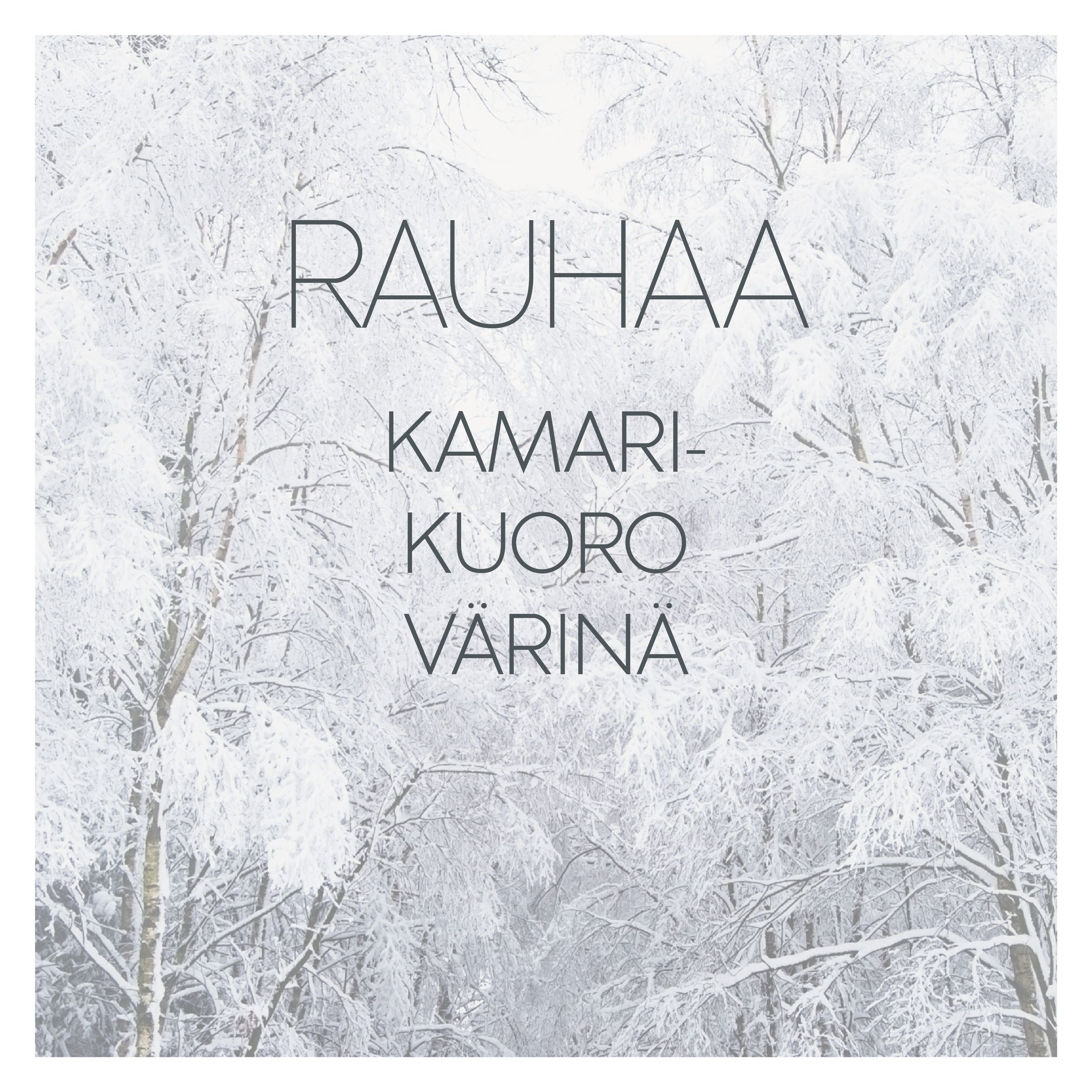 Rauhaa levyn kansi Rauhaa levyn kansi